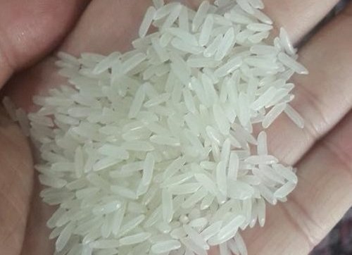 Gạo Lài Nhật