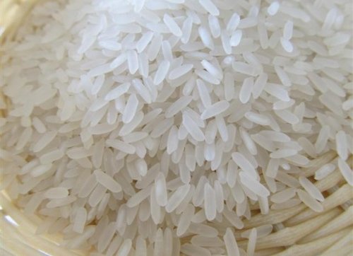 đặc tính hạt gạo đều, sáng trong, hơi bạc bụng.