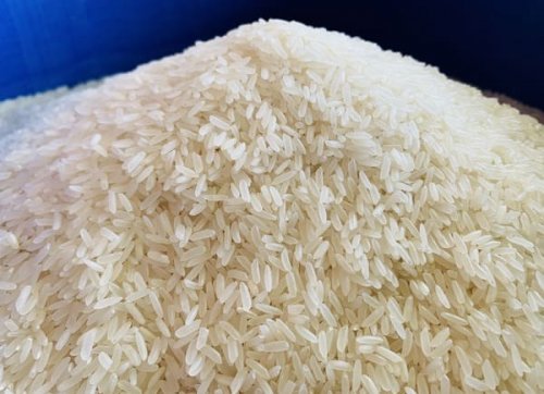 Hạt gạo Hương Lài sữa có màu trắng trong, dài hạt